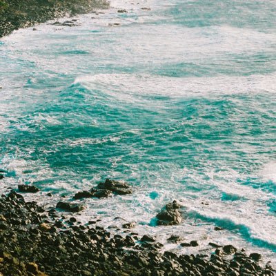 thesdp15's profile picture. 