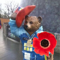 Jeanie Gallacher (@jeaniejtg) 's Twitter Profile Photo Jeanie Gallacher (@jeaniejtg) 's Twitter Profile Photo