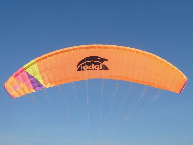 xavcastillo's profile picture. Eco productos para la protección de cultivos, bienestar animal, cuidado personal.