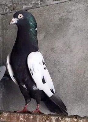 7aa45f3e9fcd424's profile picture. 