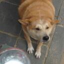 Dan Hettinger - @TheBigDanH - Twitter