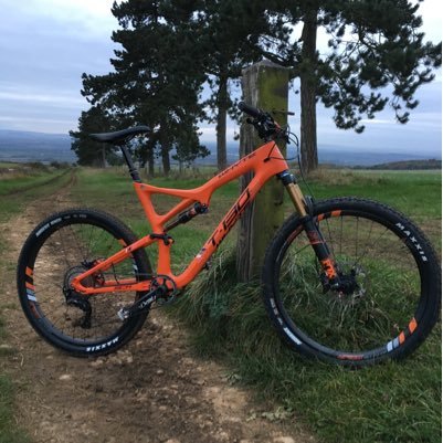 arbecke's profile picture. 