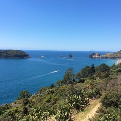 Suzytia's profile picture. Artist, illustrator and photographer. I'm new to blogging so just finding my way round. I have a son and a lovely dog called Tia.