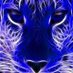 Cole McCalister (@guitarboy2001) Twitter profile photo Cole McCalister (@guitarboy2001) Twitter profile photo