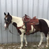 JHLCowboy (@dallyjoe) 's Twitter Profile