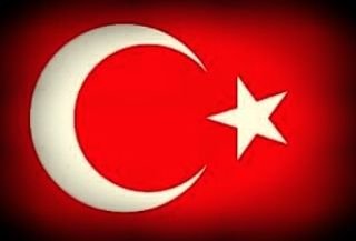 tolgakarakoc2's profile picture. new and second hand tannery machine