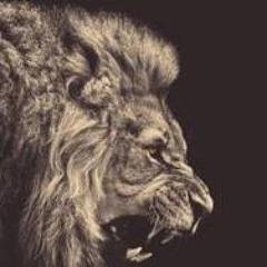 bbogale twitter avatar