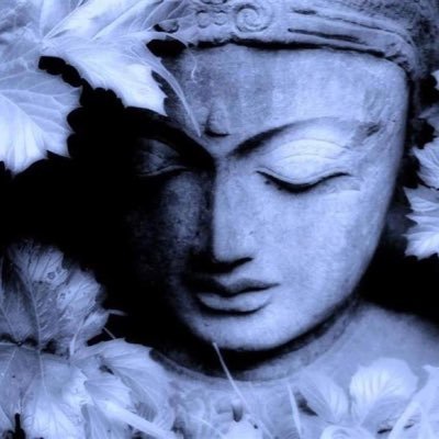 鎌倉 自家挽工房 梵蔵 Bonzo Kamakura Twitter 鎌倉 自家挽工房 梵蔵 Bonzo Kamakura Twitter