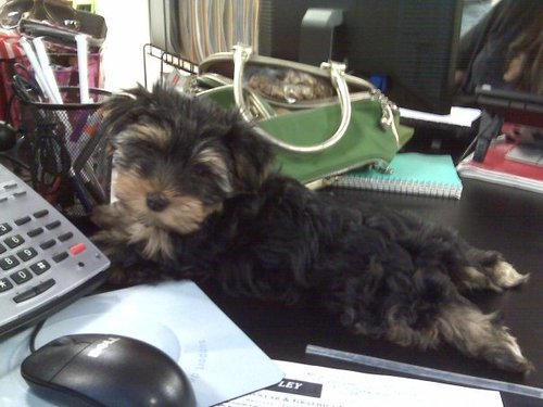 kerrimcginty's profile picture. 