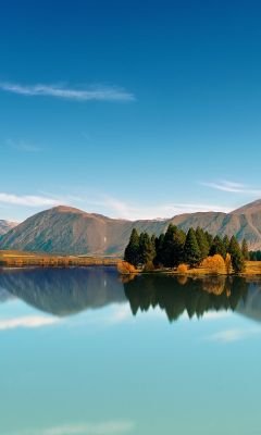 IgledysCh's profile picture. 