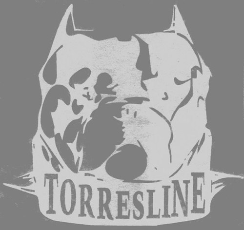 torreslinepits's profile picture. 