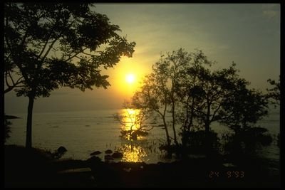 ari56788's profile picture. 