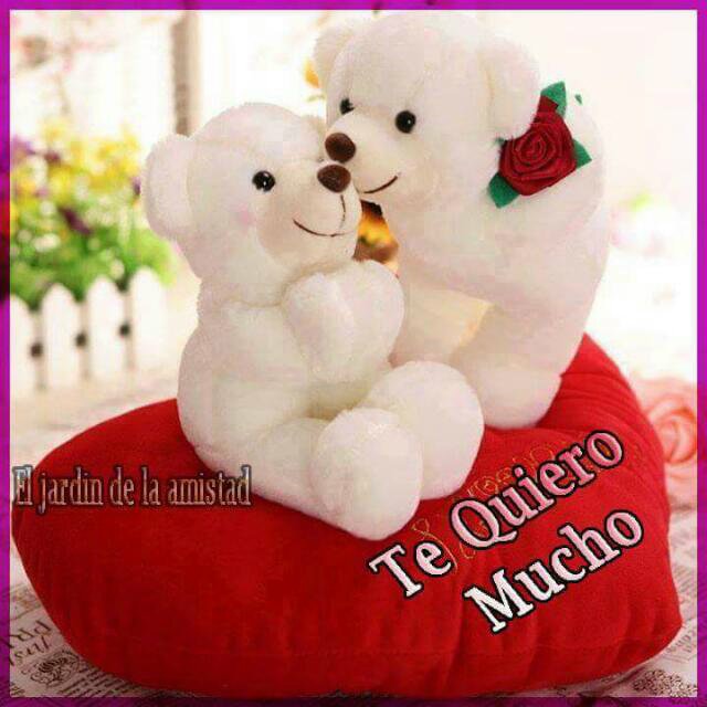 Mafernandripin's profile picture. Te amor con locura mi vida tu ere todo en mi vida