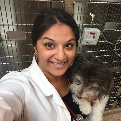 Dr. Priya Bhatt | Integrative Veterinarian - DVM