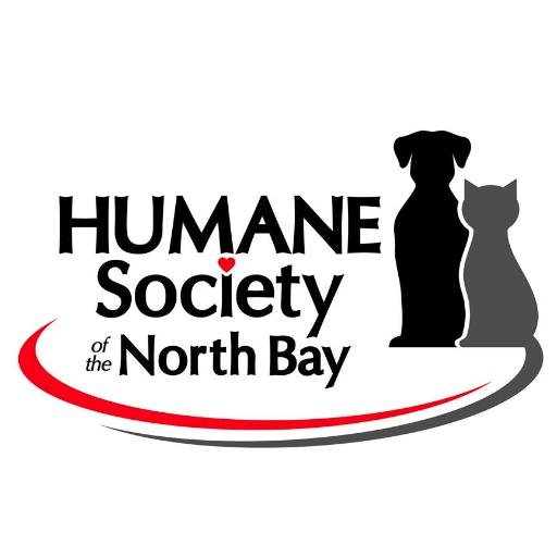 Visit us at the Humane Society of the North Bay in Vallejo, California. Adopt an animal & save a life! #TeamHSNB