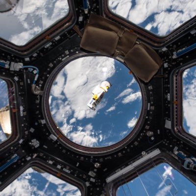 yung_psychonaut's profile picture. 