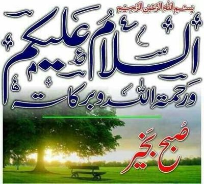 MasoodA97911463's profile picture. 