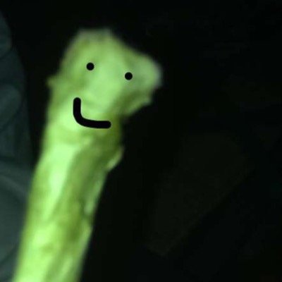 _highlogic's profile picture. I enjoy long walks to the fridge after smoking weed