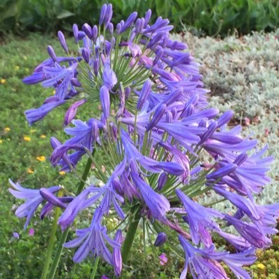 Peris_Muthonii's profile picture. Lawyer, Terrorism & International Crime expert, #Chevening scholar 2019, Lover of life and all things fine