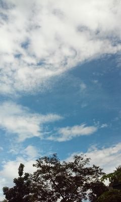 pinksky68046060's profile picture. 