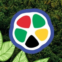 saotomeprin's profile picture. 