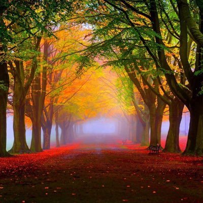 SarmaKrovi's profile picture. || Dharmo Rakshati Rakshitaha || || Swadharme Nidhanam Sreyaha, Paradharmo Bhayaavahaha ||