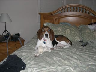 izzybelz's profile picture. 