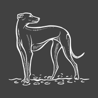 Greyhound Inn(@LetcombeHound) 's Twitter Profile Photo