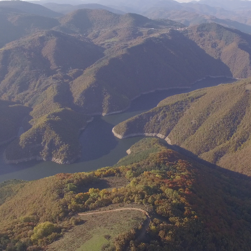 KingdomTrout's profile picture. 