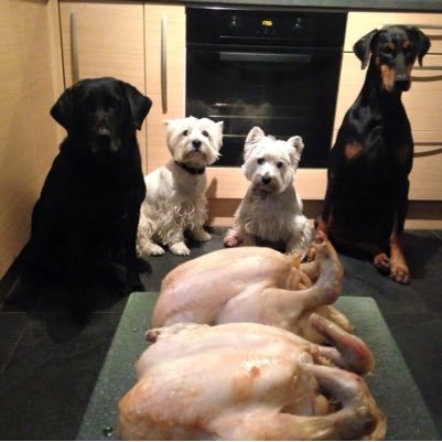 Carlin7142's profile picture. 