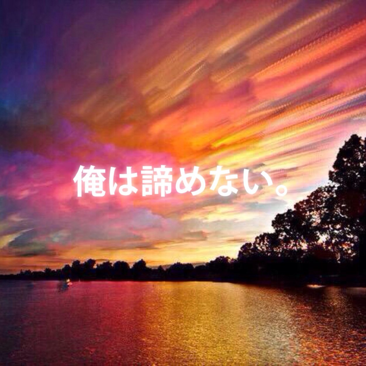 akiramenai_bot_'s profile picture. 諦めない。