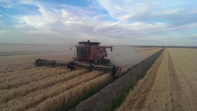 Irrigation farmer in the Riverina. Growing mostly Wheat, Barley, Canola and Rice.