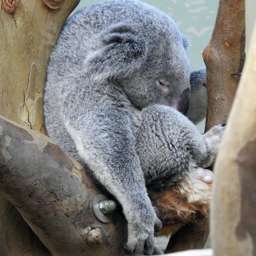 zimezumm's profile picture. Author Of The Hitchhiker’s Guide to the Financial Galaxy Series