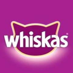 Meow meow meow. (Translation: Cats Love Whiskas) If your cat loves Whiskas too, participate in our contest to win exciting prizes!