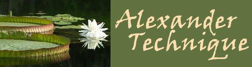 Alexander Technique teacher in San Diego with over 38years of experience.