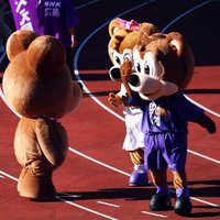 広島好き (@fhi_nsk_brc) Twitter profile photo