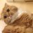さおりのアイコン