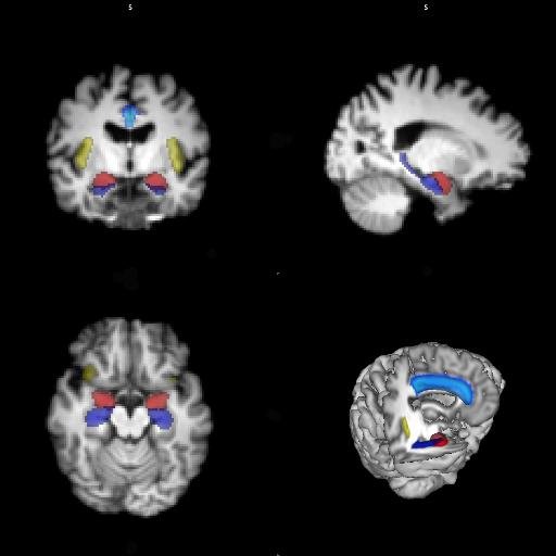 Twitter account for the Bangor Imaging group and BIG meetings