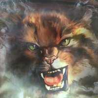 LCHS Lady Cats(@LCHS_LadyCats) 's Twitter Profile Photo