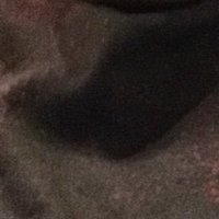 Parth (@tuparth) 's Twitter Profile