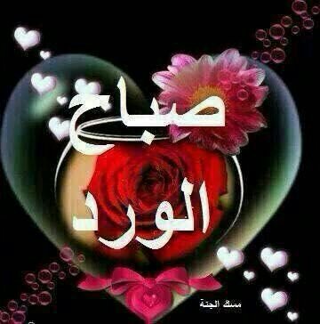 DQtPEmi9XOvHy2p's profile picture. 