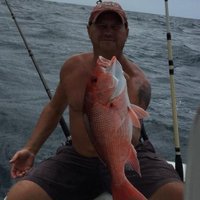 Gulf Assassin (@gulfassassin) 's Twitter Profile