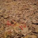 kyle bauman - @kybauman - Twitter