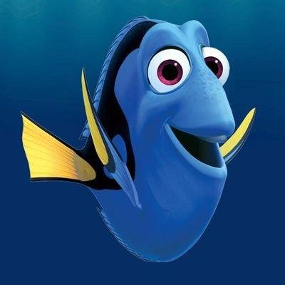 Procurando Dory Doryprocurando Twitter Procurando Dory Doryprocurando Twitter