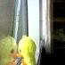 Burnaby Ducken (@real_b_ducken) Twitter profile photo Burnaby Ducken (@real_b_ducken) Twitter profile photo