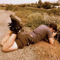 Alex Summers (@cymruplantsman) 's Twitter Profile