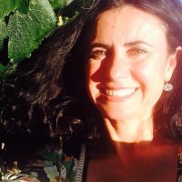 Lisa Antillón (@antillonlisa) 's Twitter Profile