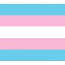 Trans Network London (TNL) is a trans led networking group that aims to improve London living within our trans communities through establishing connections.