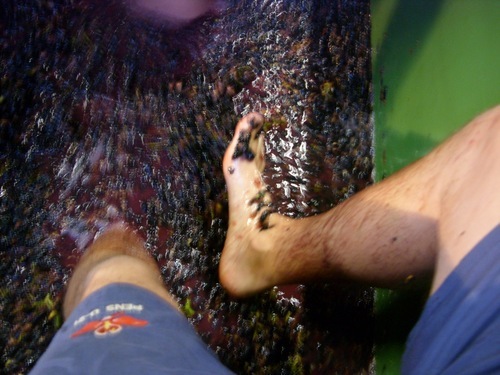 MattHenryWine's profile picture. 