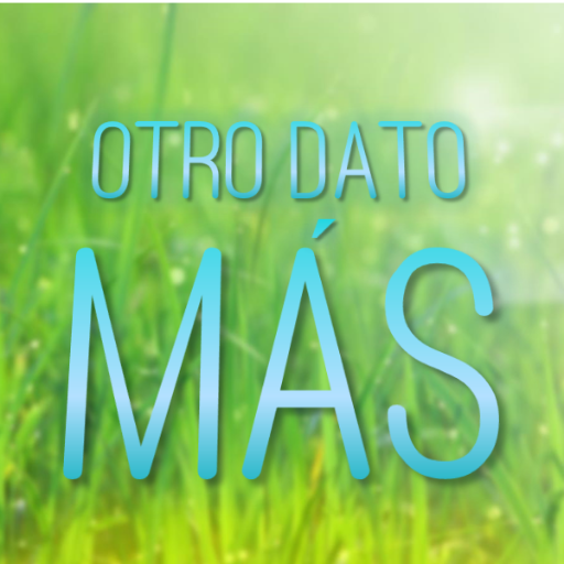 Tu canal de información random, curiosidades y datos varios que te permitirán ir a dormir cada noche con algo nuevo aprendido.